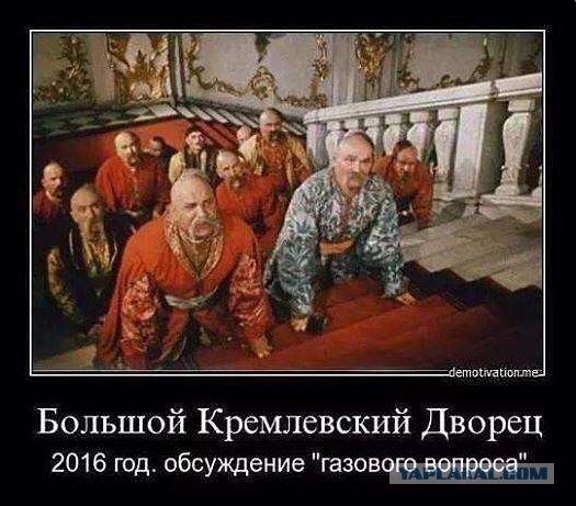 Дебилы