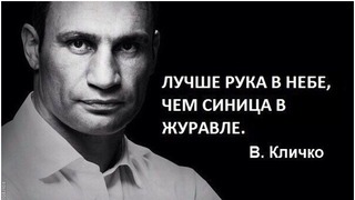 В Киеве на выборах лидирует Кличко