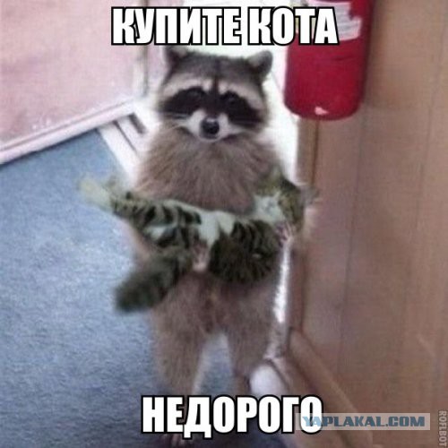 То, что улыбнуло в 2015