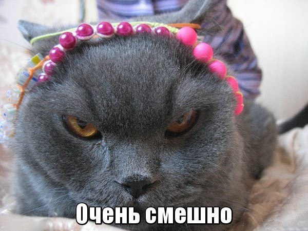 Подборка Картинок из сети