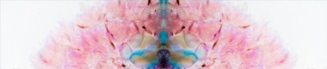 Изучение состояния психики испытуемого и выявление у него всевозможных отклонений и нарушений