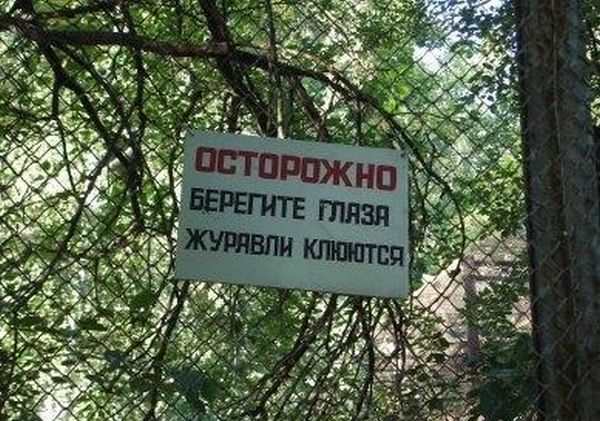 Смешные картинки