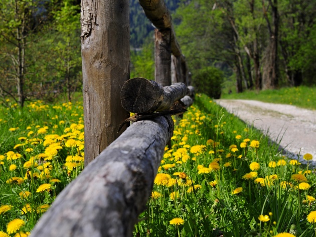 Интересные и веселые картинки