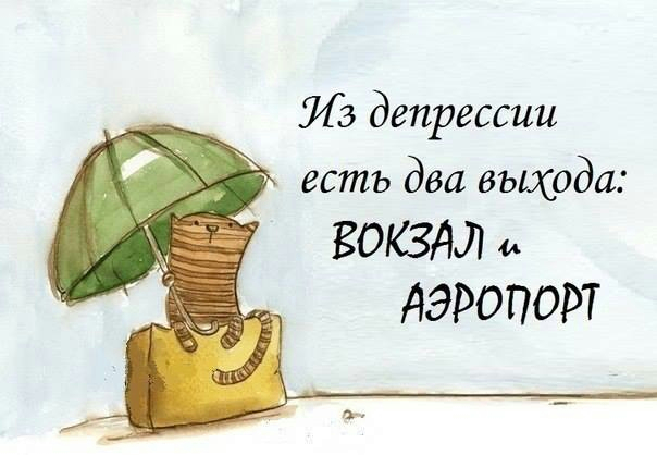 Подборка картинок
