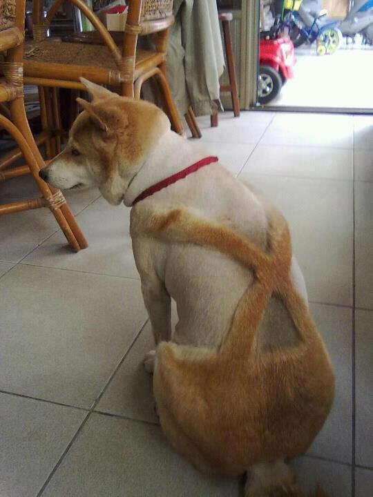 Я убью тебя человек, не сейчас..Но убью..
