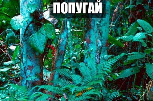 Подборка интересных и веселых фото