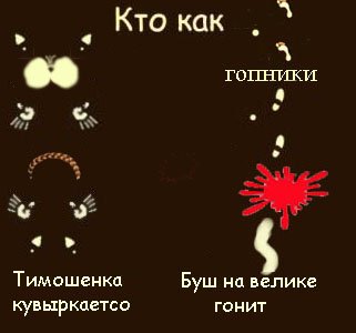 Фотожаба: Кто как ходит