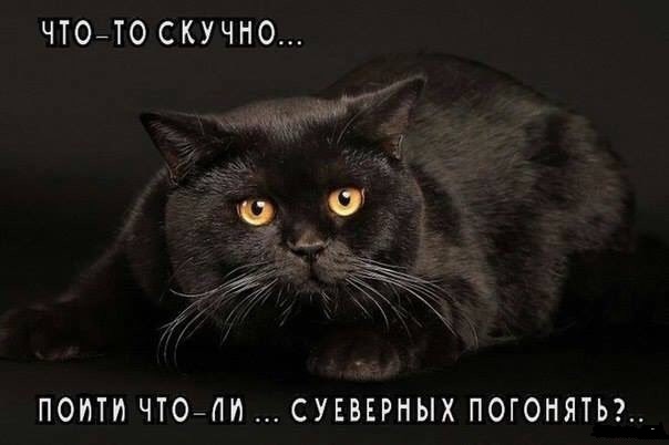Смешные комментарии из социальных сетей 23.09.2016
