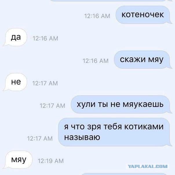 Много картинок