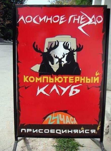Пятерка прикольных картинок!