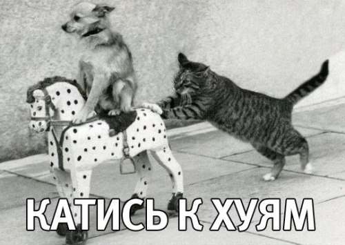 Премии Дарвина и ее лауреаты за последние 20 лет