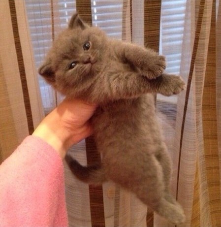Фотки всякие разные...