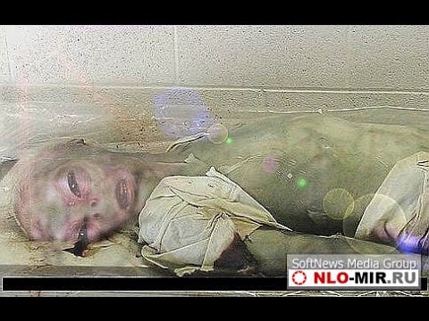 фото пришельцев реальные смотреть