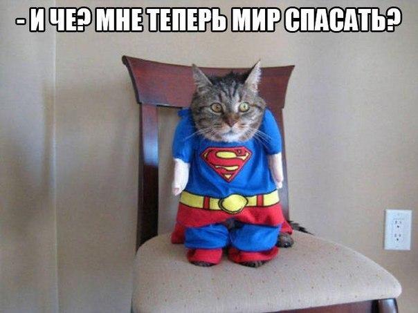 Смешные картинки из сети