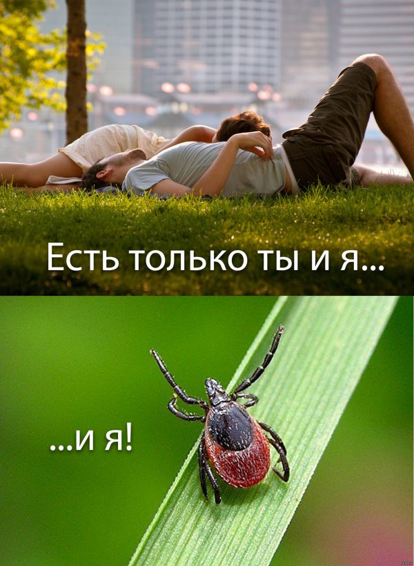 Пятничная деградация в картинках