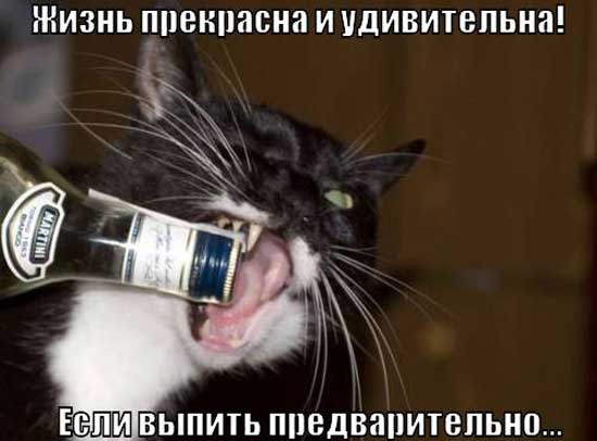 Ну что, работу работаем? А кто картинки кто смотреть будет!?