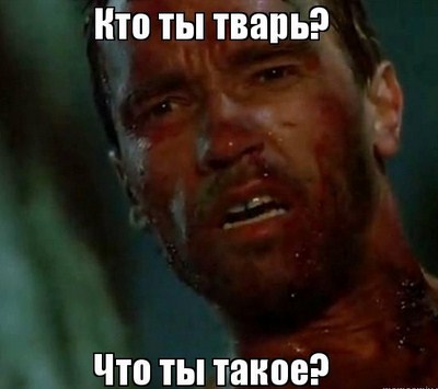 «Настоящая Барби из Берлина» с четырехкилограммовой силиконовой грудью