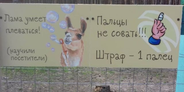 Смешные объявления, надписи и вывески