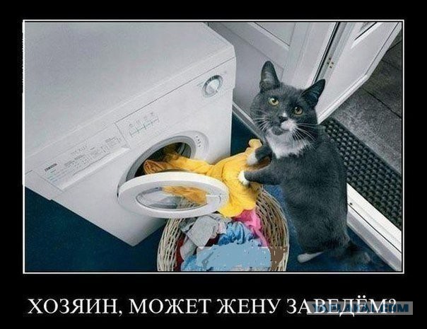 Девушки занятые в домашним хозяйством