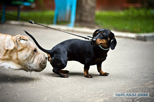 Встреча