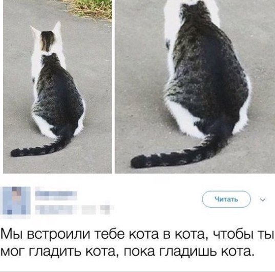Немного картинок в эту субботу