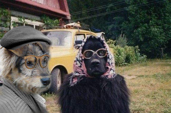 Бабушка приехала