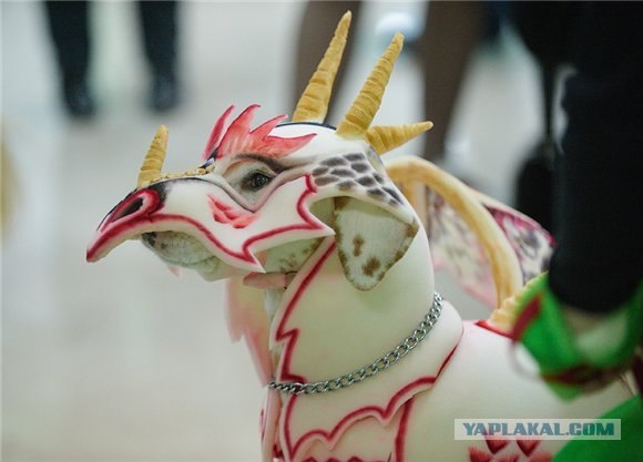 Костюм на Halloween