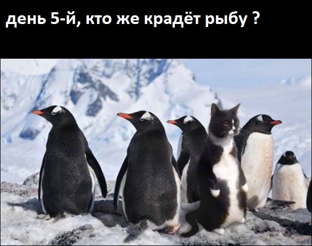 Еще одна большая подборка картинок