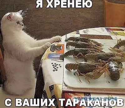 Как я ловил раков