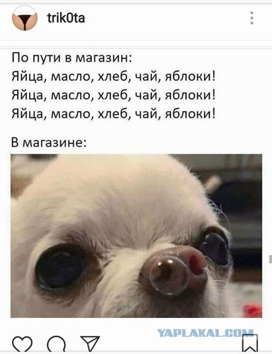 Одиночество в сети