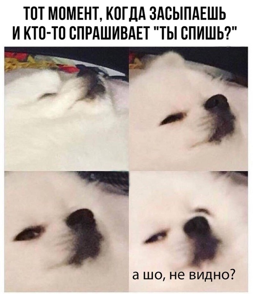 Бредзона