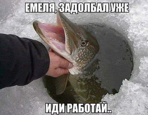 Немного картинок для настроения 09.01.20