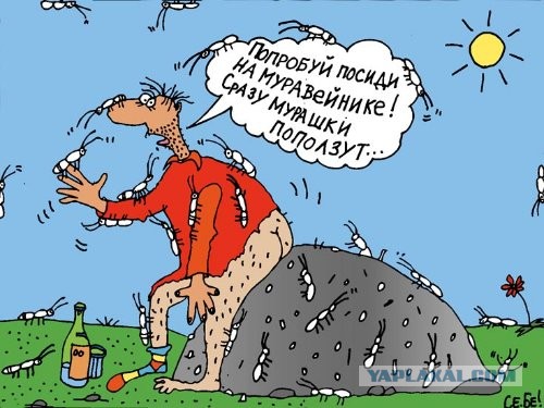 Муравейник