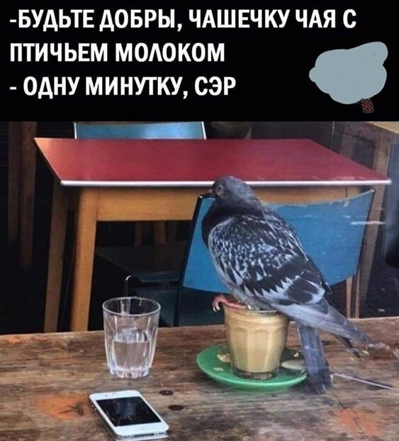 Алкопост! В картинках