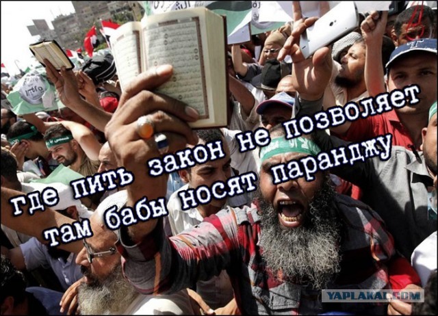 Я ем из золотых блюд, пью из хрустальных чаш