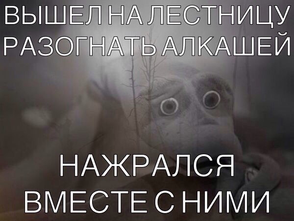 Чуток картинок 02.04.20