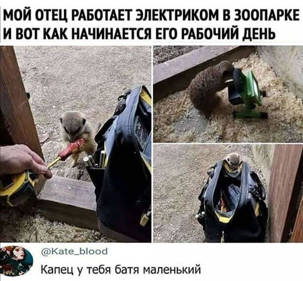 Пара-пара-пам! Фьють!