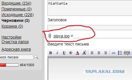 Женщины с низкой социальной ответственностью - меняются в браке или нет?