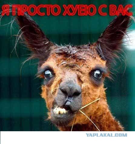 Фотожаба: Граждане!