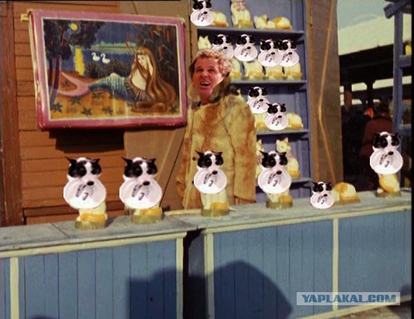 Пошёл на взлёт
