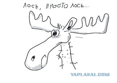 Детские Рисунки
