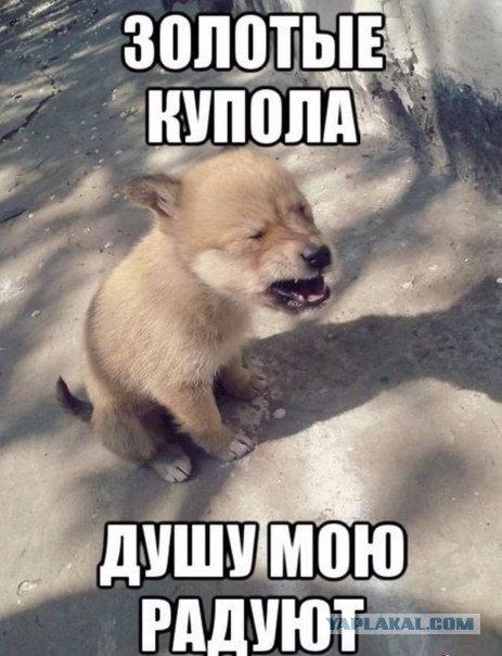 На Камчатке в селе Каменском установили золочёные купола церкви. Дороги в село нет, жильё – бараки без туалетов