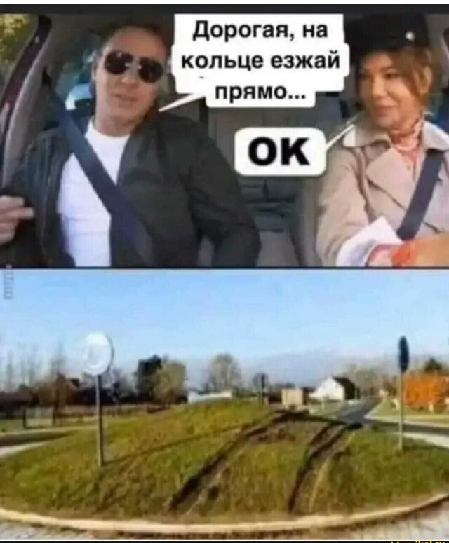 Фотки и картинки: юморные и красивые, забавные и милые 09.11.20