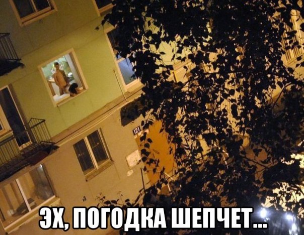Кретизмы из сети 17.01.21