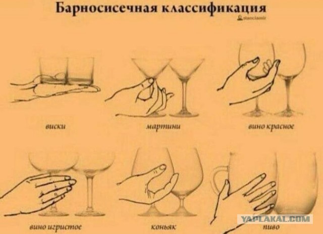 Бредзона 26.01.21
