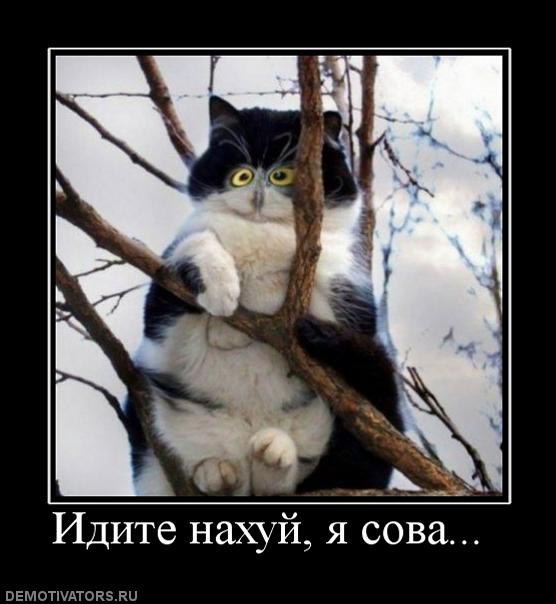 Во что превращаются синички, если кормить их салом