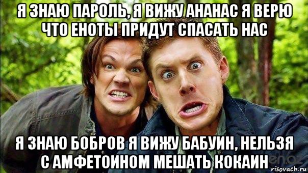 Женское насилие в семье