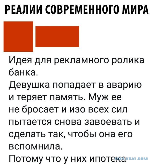 Бредзона 21.03.2021