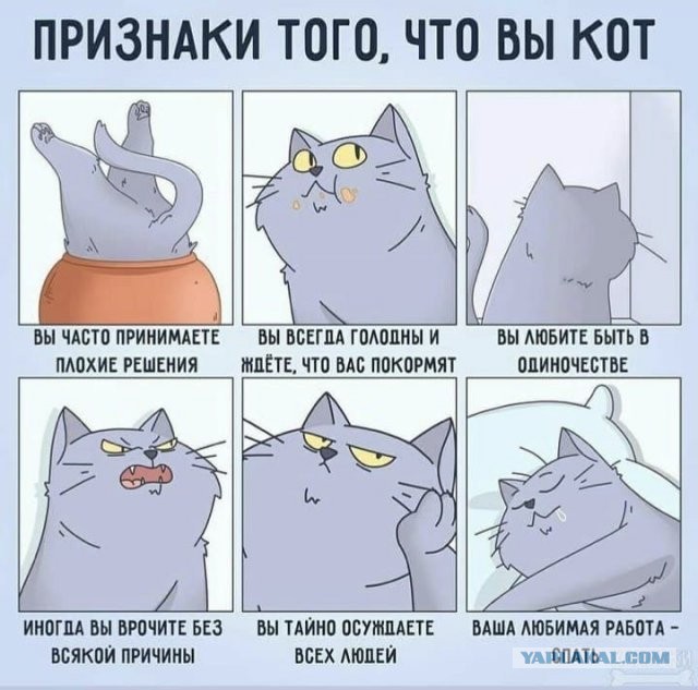 Картинки и мемы для настроения 14.04.2021