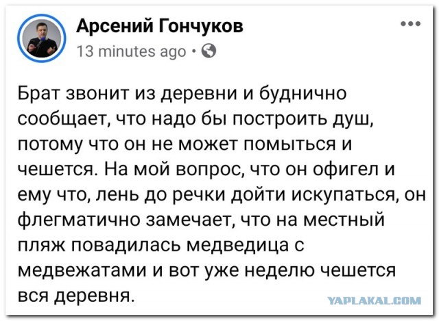 Забавные комментарии из социальных сетей (10.08.21)
